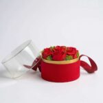 565044740_1850755945879616_6529180066182621420_n