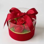 565044740_1850755945879616_6529180066182621420_n