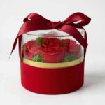 565044740_1850755945879616_6529180066182621420_n