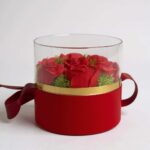 565044740_1850755945879616_6529180066182621420_n