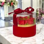 565044740_1850755945879616_6529180066182621420_n