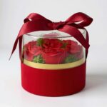 565044740_1850755945879616_6529180066182621420_n