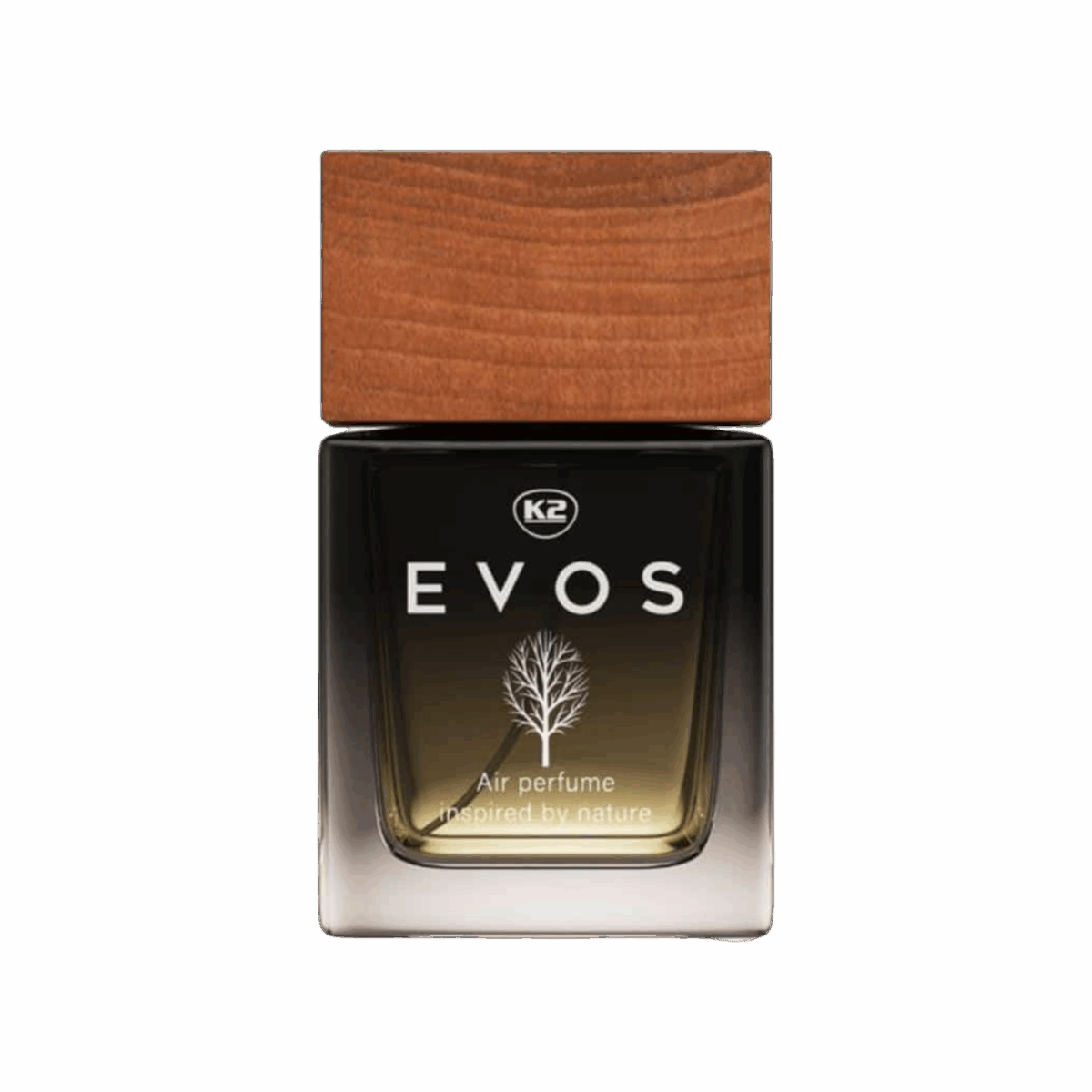 583108444_2072776463510492_7311845206269750641_n (4)